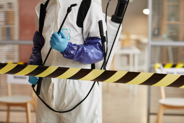 Professional Sewage Cleanup technician working in Millington, TN